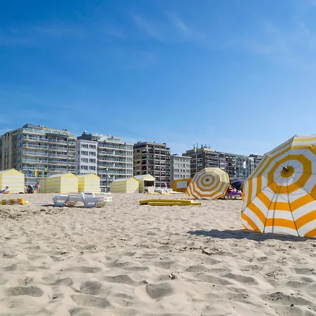 Amadeus - Happy * De Panne